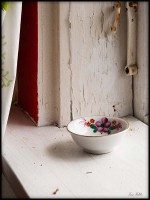 /album/bildgalleri/fonstret-jpg/