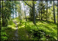 /album/bildgalleri/backen-jpg/