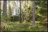 /album/bildgalleri/glanta-jpg/