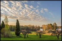 /album/bildgalleri/sommarmorgon-jpg/