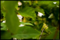 /album/bildgalleri/lh2-4159-jpg/