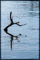 /album/bildgalleri/lhs-9908-jpg/